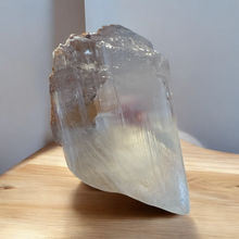  Niaca Selenite Specimen *Rare Find*