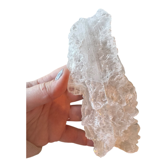 Fishtail Selenite Specimen