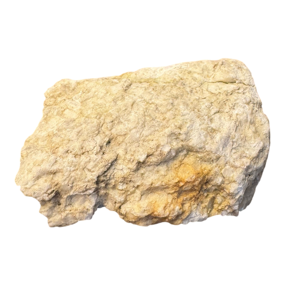 Wernerite Specimen