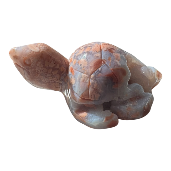 Turtle Carving