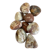 Crazy Lace Agate Tumbled