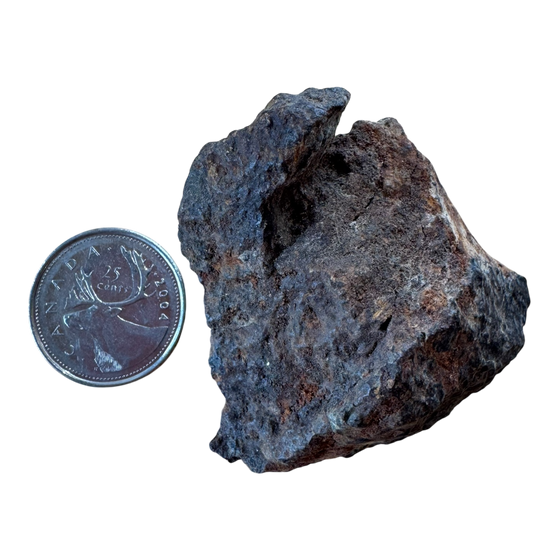 Meteorite NWA 869