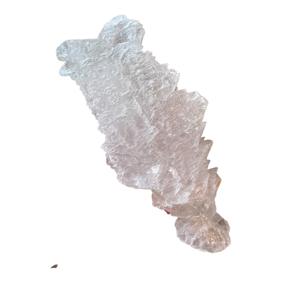 Fishtail Selenite Specimen