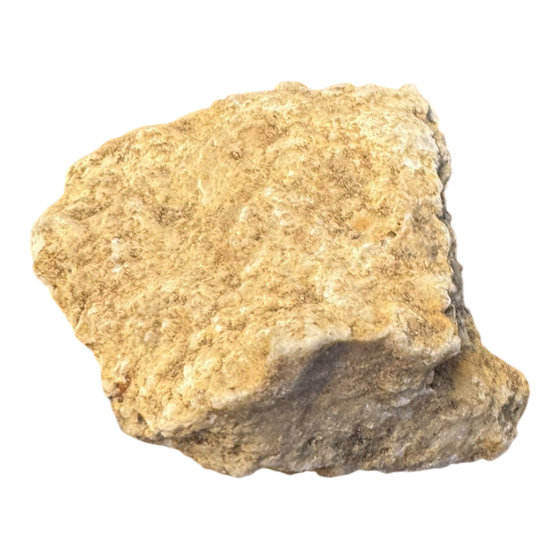 Wernerite Specimen