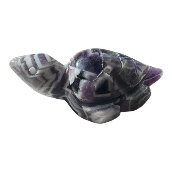 Turtle Carving