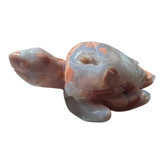 Turtle Carving