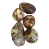 Crazy Lace Agate Tumbled