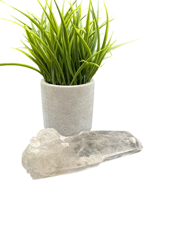 Lemurian Quartz Cluster