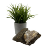 Quartz in Basalt (Lava Rock)