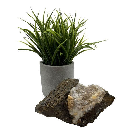 Quartz in Basalt (Lava Rock)