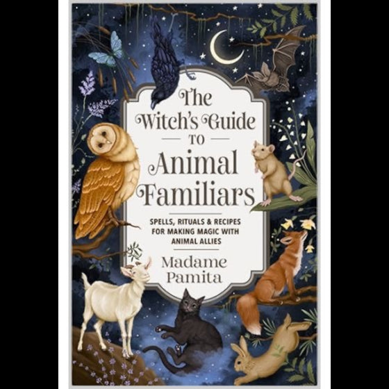 The Witch's Guide to Animal Familiars Paperback