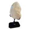 Citrine (natural) Raw Cluster on stand