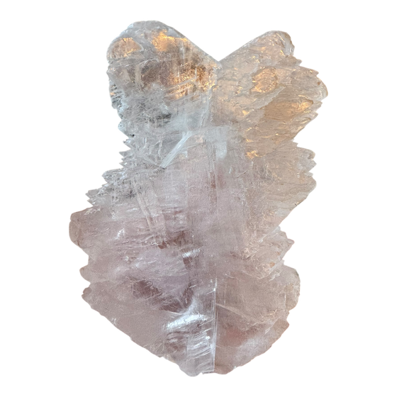 Fishtail Selenite Specimen