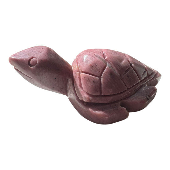 Turtle Carving