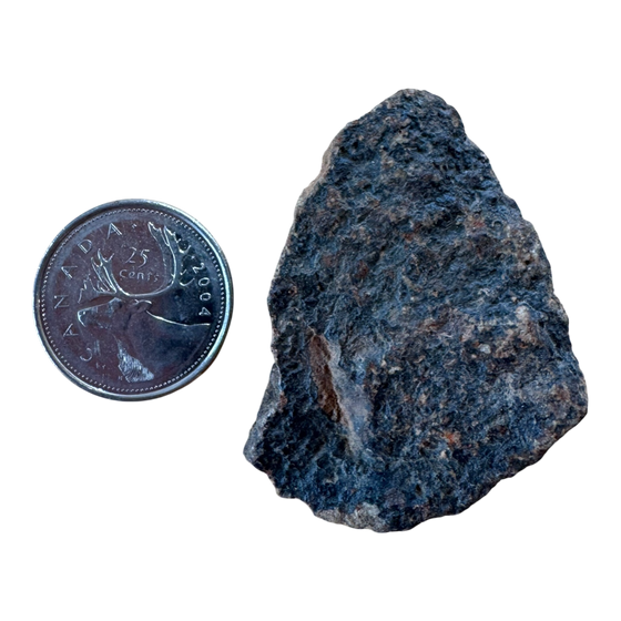 Meteorite NWA 869