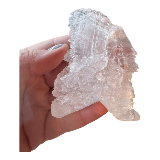 Fishtail Selenite Specimen
