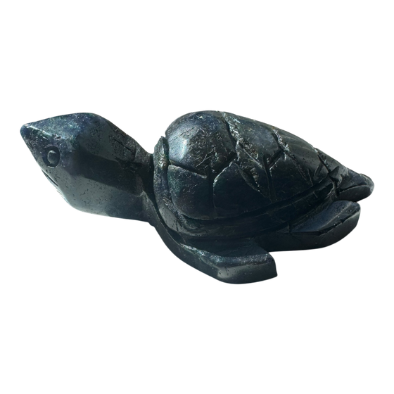 Turtle Carving