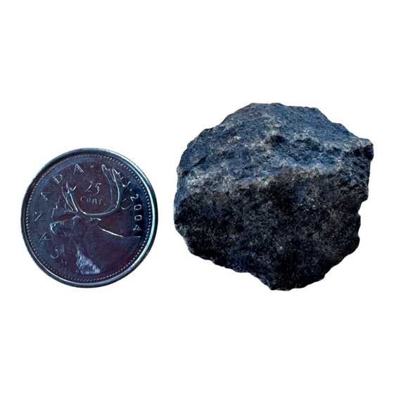 Meteorite NWA 869