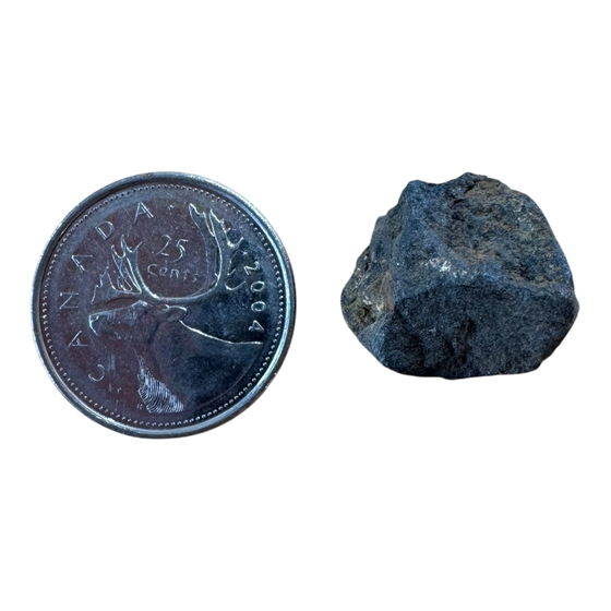 Meteorite NWA 869