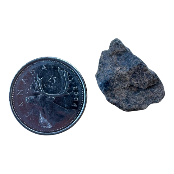 Meteorite NWA 869