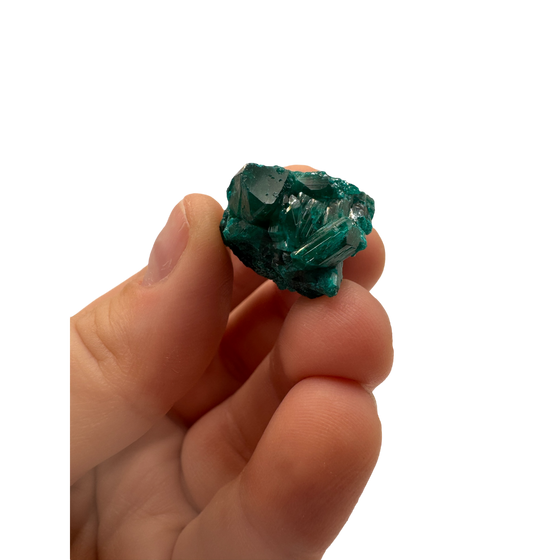 Dioptase Specimen