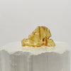Polished Amber Specimen