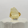 Polished Amber Specimen