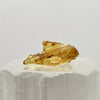 Polished Amber Specimen