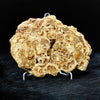 Polished Stalactite Aragonite Slab
