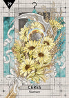 Starcodes Astro Oracle