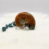 Sutured Ammonite