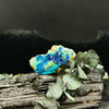 The Copper Trinity: Chrysocolla, Malachite, & Azurite Specimen