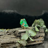 The Copper Trinity: Chrysocolla, Malachite, & Azurite Specimen