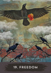 Urban Crow Oracle