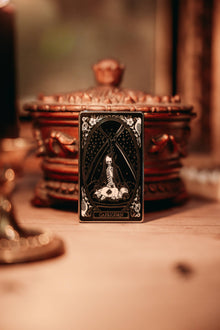  Hard-enamel Zodiac Pin -  Capricorn