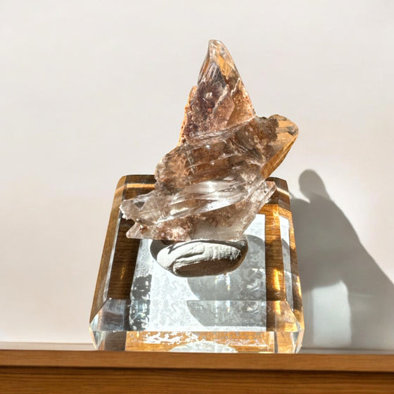 Selenite Specimen (Bermejillo, Durango Mexico)