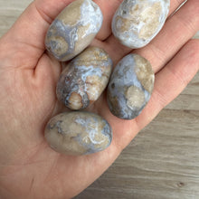  Blue Flower Agate Tumbled