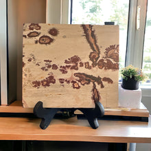  Picture Jasper Slab