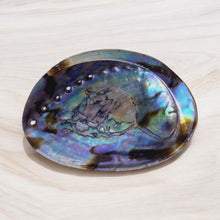  Abalone Shell