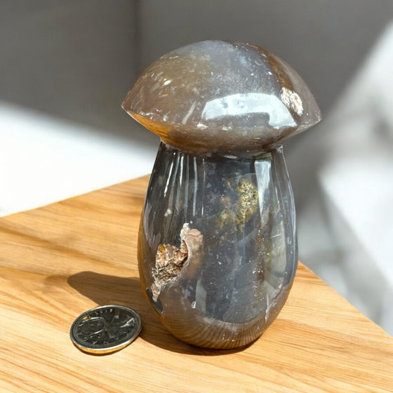 Ocean Jasper Mushroom