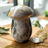 Ocean Jasper Mushroom