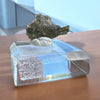 Moldavite Specimen