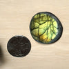 Labradorite Ema Egg