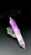 Amethyst Vogel