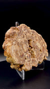 Polished Stalactite Aragonite Slab